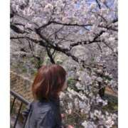 ヒメ日記 2025/04/09 12:59 投稿 すみれ 新宿プチドール