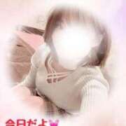 ヒメ日記 2025/04/11 08:20 投稿 すみれ 新宿プチドール