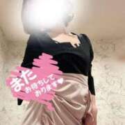 ヒメ日記 2025/10/19 23:19 投稿 すみれ 新宿プチドール