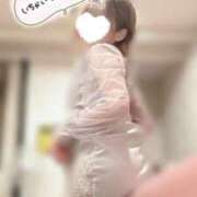 ヒメ日記 2025/12/08 10:59 投稿 すみれ 新宿プチドール