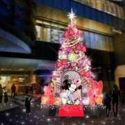 ヒメ日記 2025/12/12 20:09 投稿 すみれ 新宿プチドール