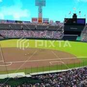 ヒメ日記 2026/03/21 13:19 投稿 すみれ 新宿プチドール