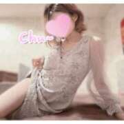 ヒメ日記 2026/04/06 13:10 投稿 すみれ 新宿プチドール