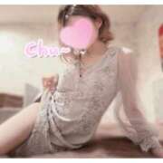 ヒメ日記 2026/04/28 20:19 投稿 すみれ 新宿プチドール