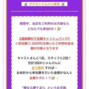 ヒメ日記 2026/10/07 20:29 投稿 すみれ 新宿プチドール