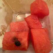 ヒメ日記 2025/06/25 15:54 投稿 つる デリス新宿