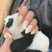 ヒメ日記 2025/06/26 18:54 投稿 つる デリス新宿