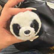 ヒメ日記 2025/06/27 00:04 投稿 つる デリス新宿