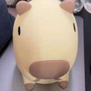 ヒメ日記 2025/07/27 17:24 投稿 つる デリス新宿