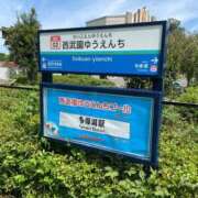 ヒメ日記 2025/09/22 20:44 投稿 つる デリス新宿