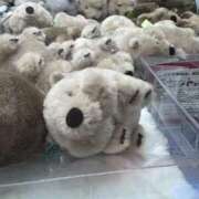 ヒメ日記 2025/10/02 00:14 投稿 つる デリス新宿