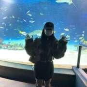 ヒメ日記 2025/11/21 22:34 投稿 つる デリス新宿