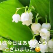 ヒメ日記 2025/04/20 18:35 投稿 えり 性腺熟女100％（デリヘル市場）