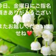 ヒメ日記 2025/04/25 22:40 投稿 えり 性腺熟女100％（デリヘル市場）