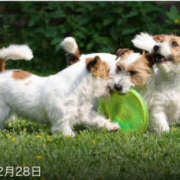 ヒメ日記 2025/06/09 15:35 投稿 えり 性腺熟女100％（デリヘル市場）