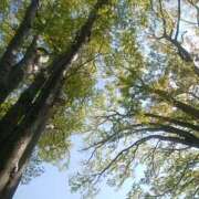 ヒメ日記 2025/09/14 06:00 投稿 えり 性腺熟女100％（デリヘル市場）