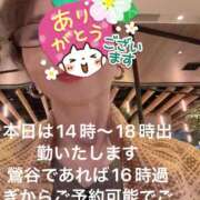 ヒメ日記 2025/09/27 11:20 投稿 えり 性腺熟女100％（デリヘル市場）