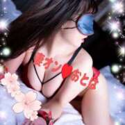 ヒメ日記 2025/04/12 20:09 投稿 おとは 横浜 風俗 妻がオンナに変わるとき