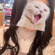 ヒメ日記 2025/03/01 05:39 投稿 れいか 新宿プチドール