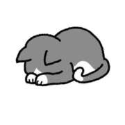 ヒメ日記 2025/07/08 22:39 投稿 れいか 新宿プチドール