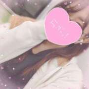 ヒメ日記 2024/12/17 16:23 投稿 るか 若妻淫乱倶楽部