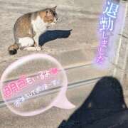 ヒメ日記 2025/03/11 03:41 投稿 るか 若妻淫乱倶楽部