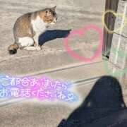 ヒメ日記 2025/04/15 18:28 投稿 るか 若妻淫乱倶楽部