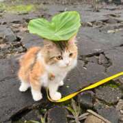 ヒメ日記 2025/07/03 13:44 投稿 るか 若妻淫乱倶楽部