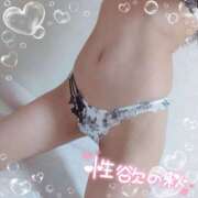 ヒメ日記 2025/09/28 19:17 投稿 るか 若妻淫乱倶楽部