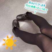 ヒメ日記 2025/11/17 06:00 投稿 るか 若妻淫乱倶楽部