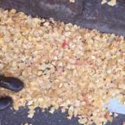 ヒメ日記 2025/12/06 13:52 投稿 るか 若妻淫乱倶楽部