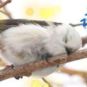 ヒメ日記 2026/03/12 06:00 投稿 るか 若妻淫乱倶楽部