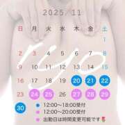 ヒメ日記 2025/11/20 11:19 投稿 朝倉　りょう 快楽園 大阪梅田