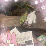 ヒメ日記 2025/03/29 17:38 投稿 あやめ 素人妻御奉仕倶楽部Hip's松戸店