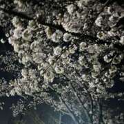 ヒメ日記 2025/04/10 09:02 投稿 なみ 君とふわふわプリンセスin立川