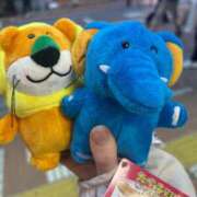 なみ 次回の出勤日✨ 君とふわふわプリンセスin立川