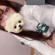 ヒメ日記 2024/12/18 20:58 投稿 みこ 晴れんち