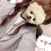 ヒメ日記 2024/12/18 23:02 投稿 みこ 晴れんち