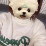 ヒメ日記 2025/02/25 19:52 投稿 みこ 晴れんち