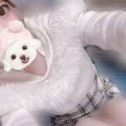 ヒメ日記 2025/04/04 15:02 投稿 みこ 晴れんち