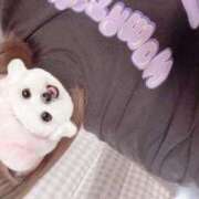 ヒメ日記 2025/04/11 14:02 投稿 みこ 晴れんち