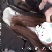 ヒメ日記 2025/05/16 14:43 投稿 みこ 晴れんち