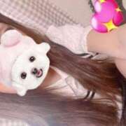 ヒメ日記 2025/06/04 15:55 投稿 みこ 晴れんち