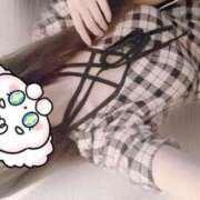 ヒメ日記 2025/06/25 14:22 投稿 みこ 晴れんち