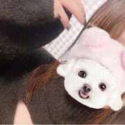 ヒメ日記 2025/12/19 14:50 投稿 みこ 晴れんち