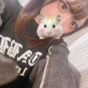 ヒメ日記 2026/01/27 13:20 投稿 みこ 晴れんち