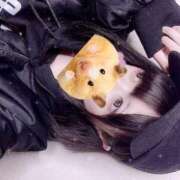 ヒメ日記 2026/02/12 18:20 投稿 みこ 晴れんち