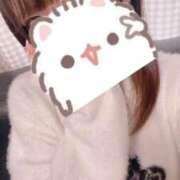 ヒメ日記 2026/03/08 15:50 投稿 みこ 晴れんち