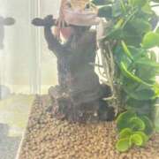 ヒメ日記 2025/03/14 12:37 投稿 ララ club Ego