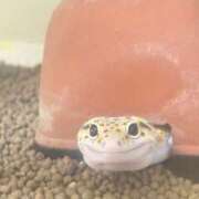 ララ ありがとう club Ego